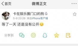 最新爆料免费吃瓜,娱乐圈最新爆料，免费吃瓜盛宴来袭！